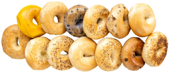 Twelve assorted bagels are arranged in two rows, showcasing different flavors, including plain, seeded, chocolate chip, and others.